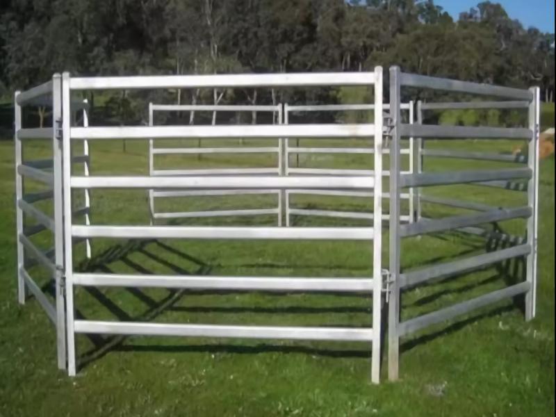 Australia standard galvanized metal cattle Fence